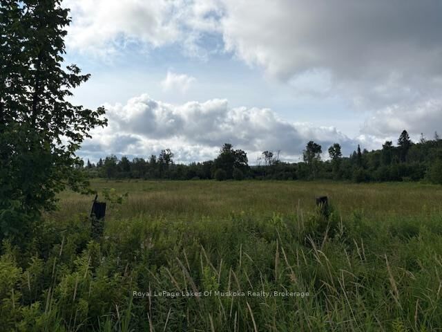 Property Photo: 0 Old Muskoka To The West Side Of #1105 Road ON P0B 1M0