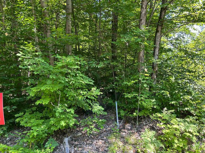 Property Photo:  0 Tally Ho Winter Park Road  ON P1H 2J3 