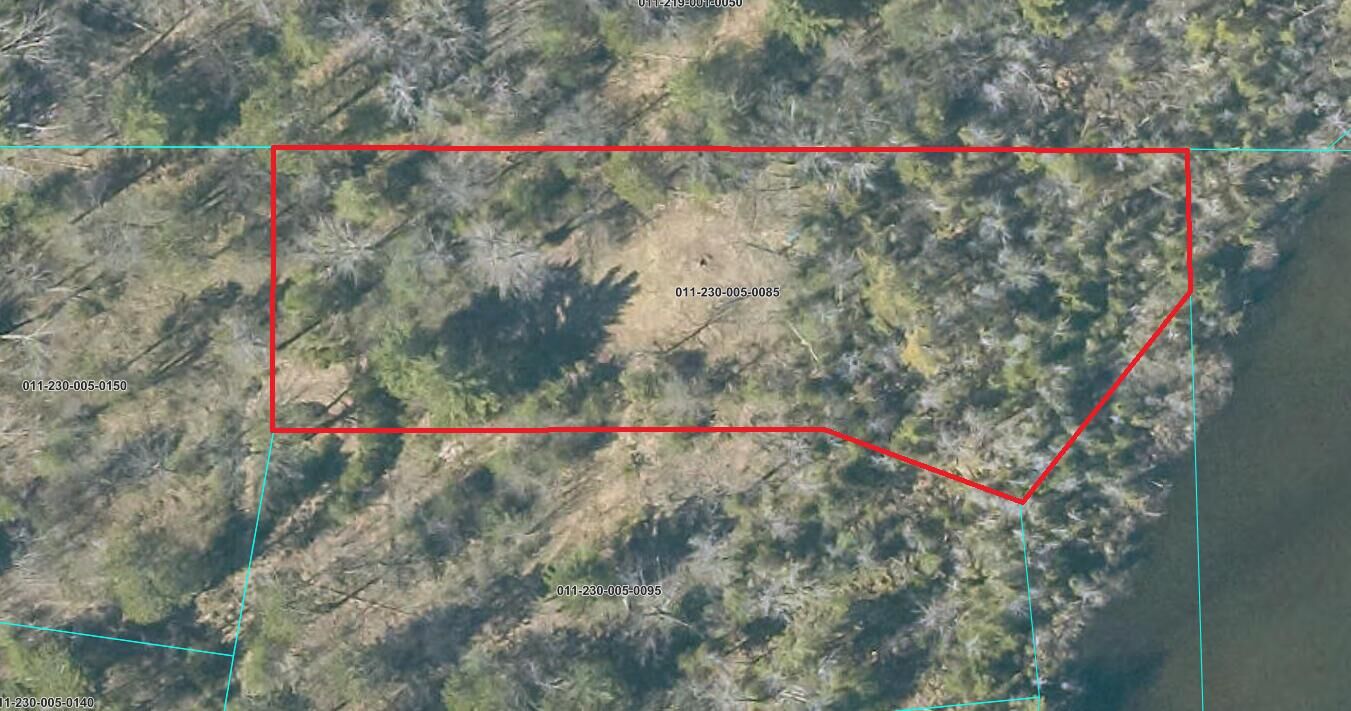 Property Photo:  1.24 Acres Snow Bowl Road  MI 48629 
