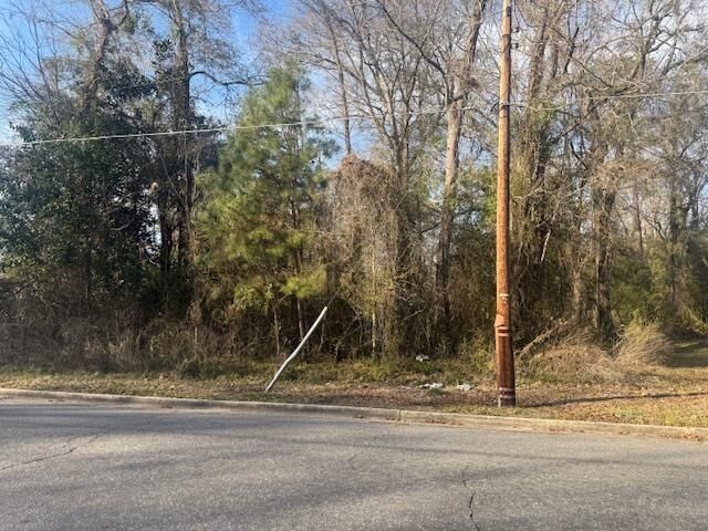 Property Photo:  Near 217/Tbd East Clay St.  NC 28472 