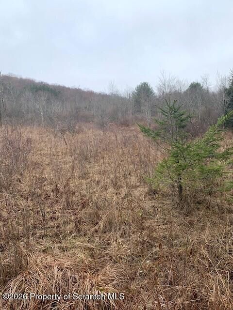 Property Photo:  Jackson Valley Road  PA 18830 