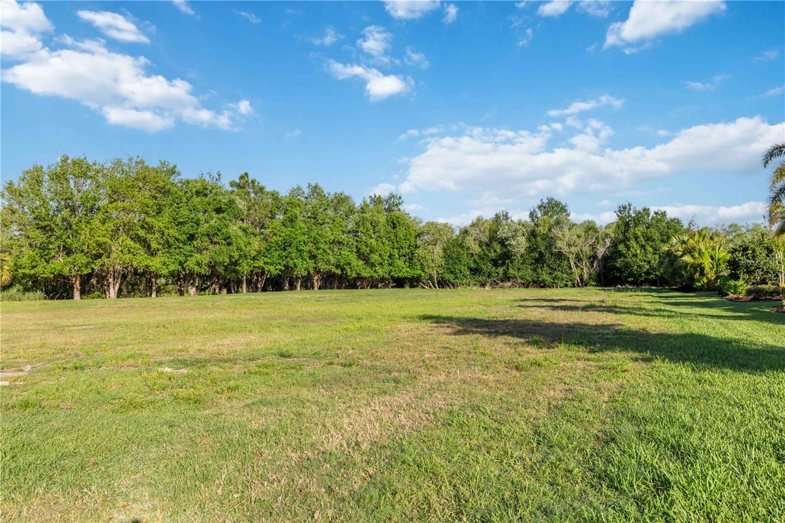 Property Photo:  3433 Founders Club Drive  FL 34240 