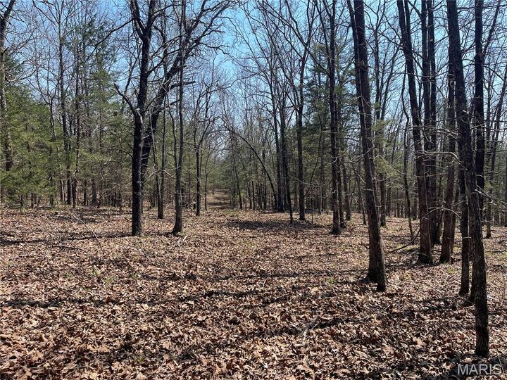 Property Photo: 30050 Highway T MO 65556