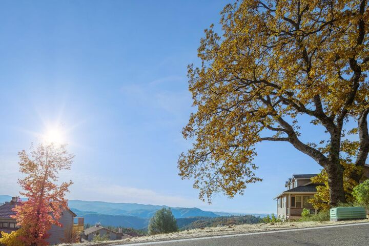 Property Photo:  838 Laurel Lane  CA 95247 