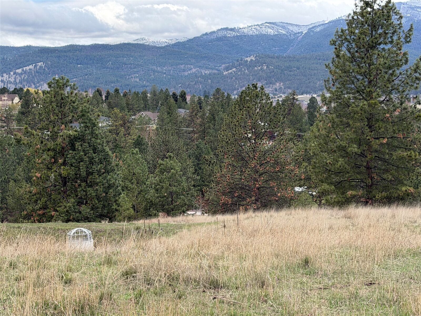 Property Photo:  2608 Gharrett Street  MT 59803 