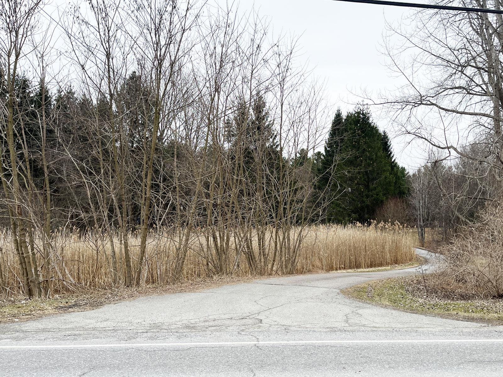 Property Photo:  376 Mountain View Road  VT 05495 