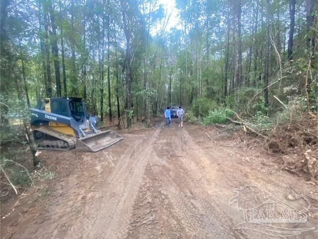 Property Photo:  13 Acres Hwy 4  FL 32565 