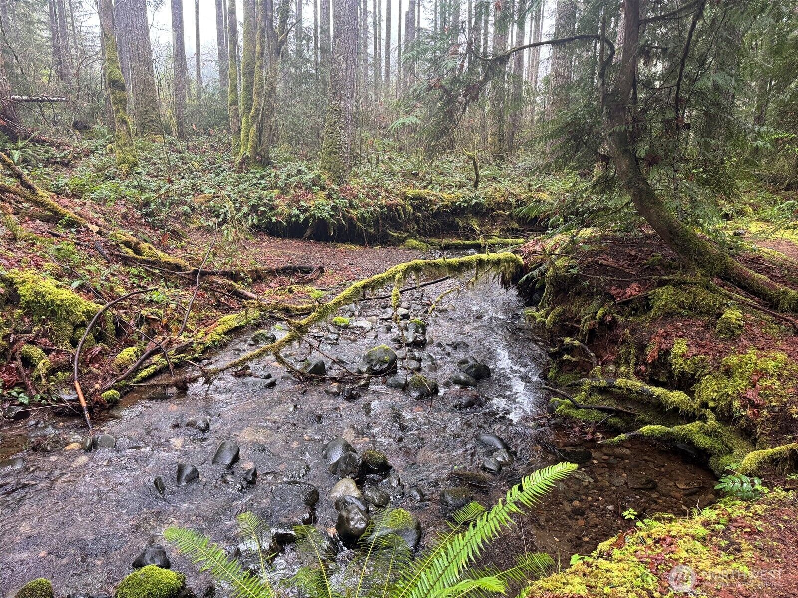 Property Photo:  300 N Mount Jupiter Drive  WA 98548 
