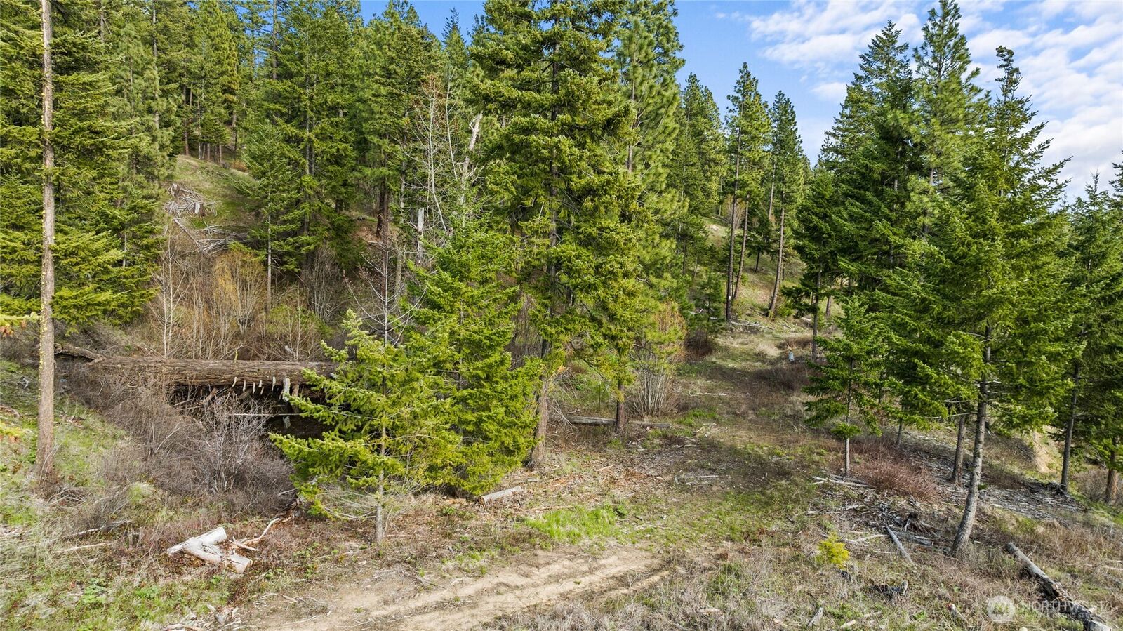 Property Photo:  0 Xxx  Game Trail Road  WA 98922 