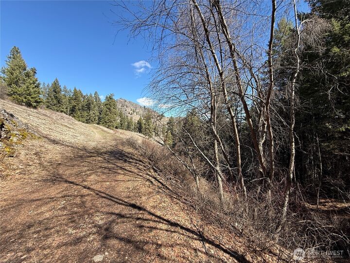 Property Photo: 0 Coogan Creek Road WA 98859