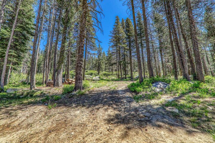 Property Photo:  10019 Bunny Hill Road  CA 95728 