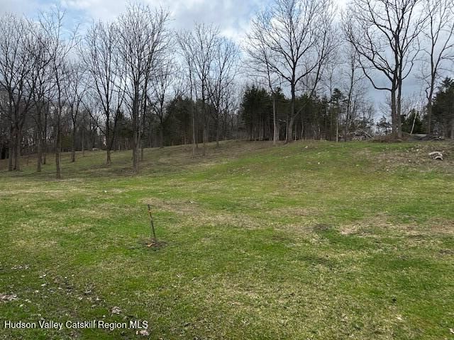 Property Photo: Lot 2 High Falls NY 12414