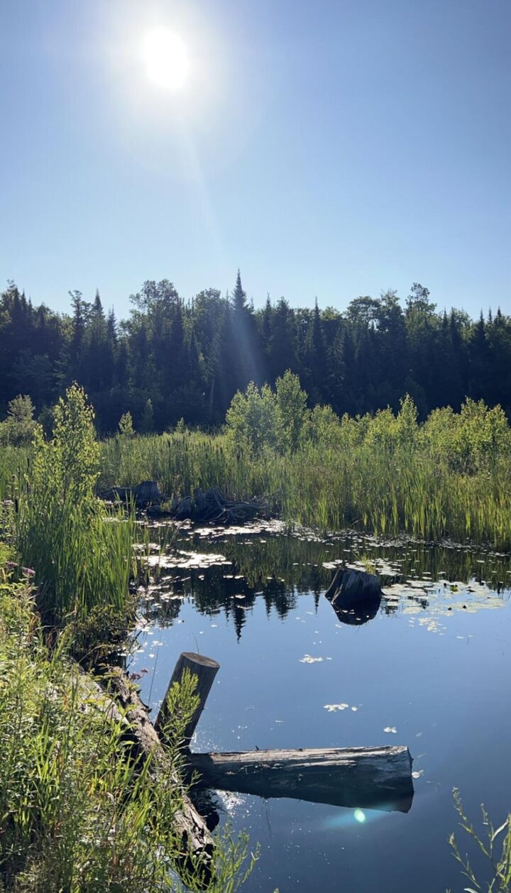 Property Photo: 1560 Rand Hill Road NY 12910