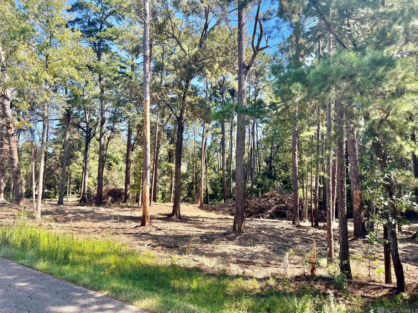 Property Photo:  15912 Chaumont Ave  LA 70739 