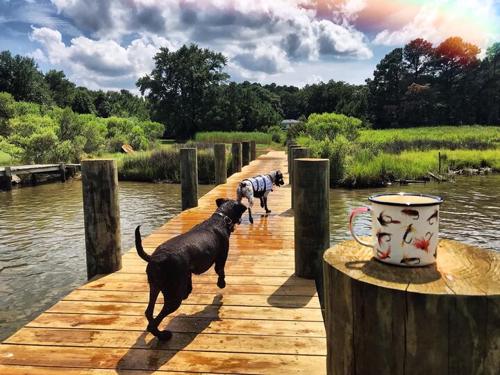 Property Photo:  16146 Thomas  MD 20674 