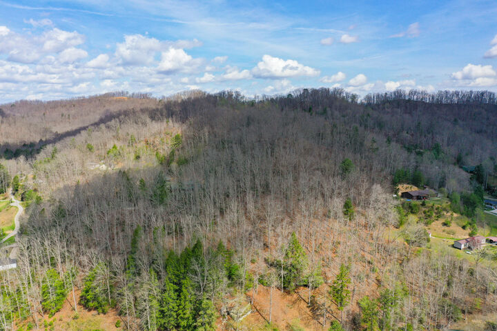 Property Photo:  0000 Laurel Branch Road  KY 40868 