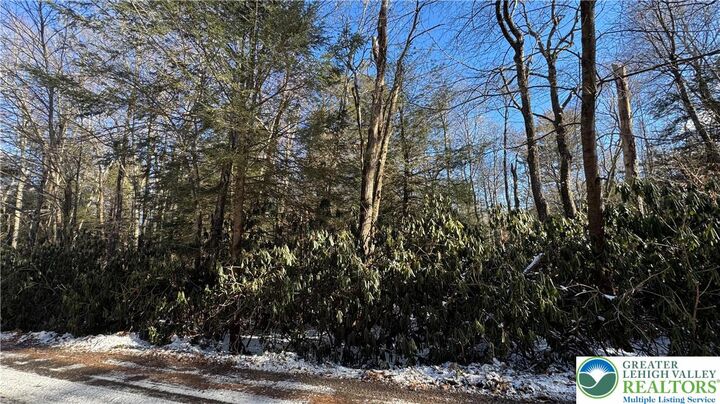 Property Photo:  Woodlands Road  PA 18210 