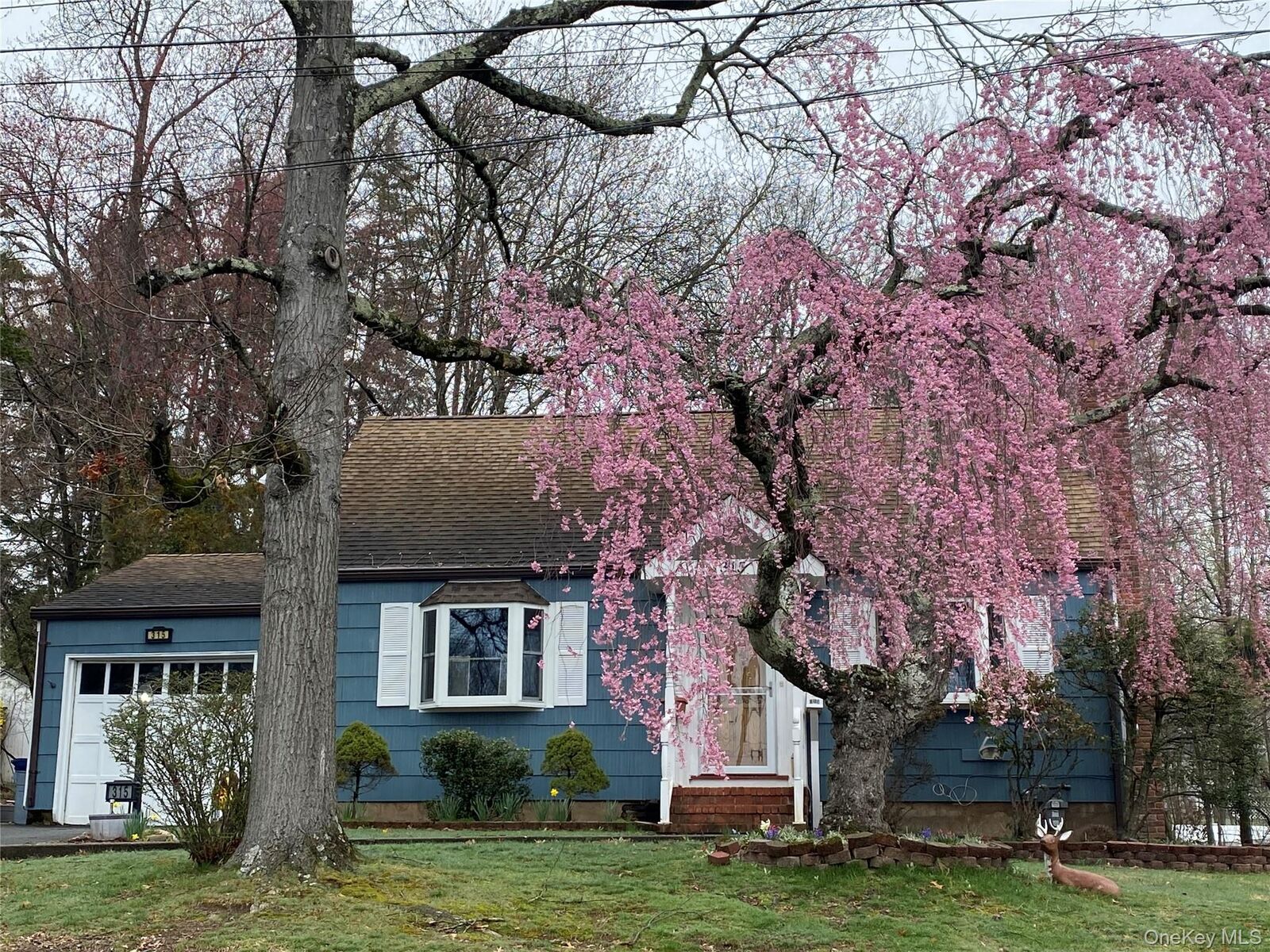 Property Photo:  315 Manor Boulevard  NY 10965 