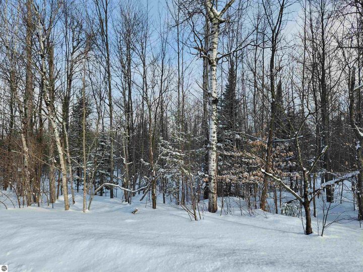 Property Photo:  Tbd Valley Road, NW  MI 49676 