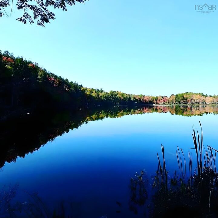 Property Photo:  95 Natural Forest Lake Road  NS B0R 1A0 