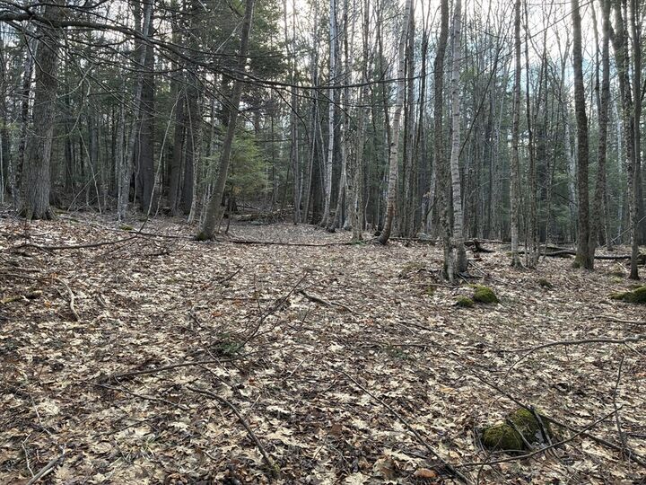 Property Photo:  2 Leshure Rd  MA 01367 