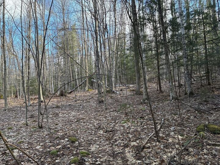 Property Photo:  2 Leshure Rd  MA 01367 