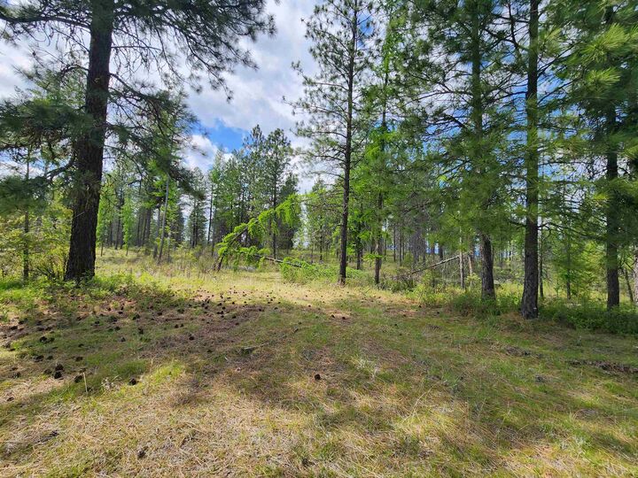 Property Photo:  3669 E Jump Off Joe Rd  WA 99181 