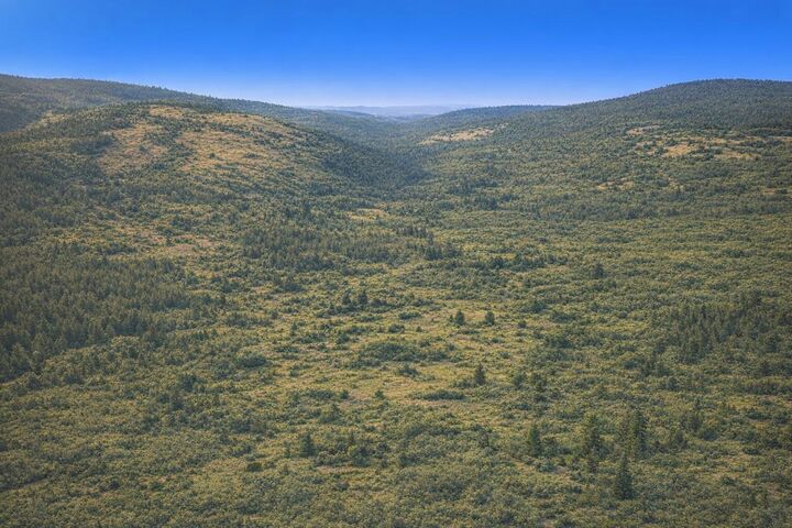 Property Photo:  84xx Lodge Pole Ln  WA 99003 