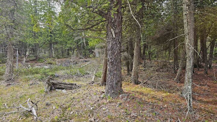 Property Photo:  Lt 255 Pedwell Pt. Drive  ON N0H 2R0 