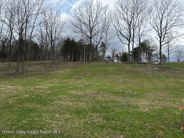 Property Photo: Tbd High Falls Road NY 12414