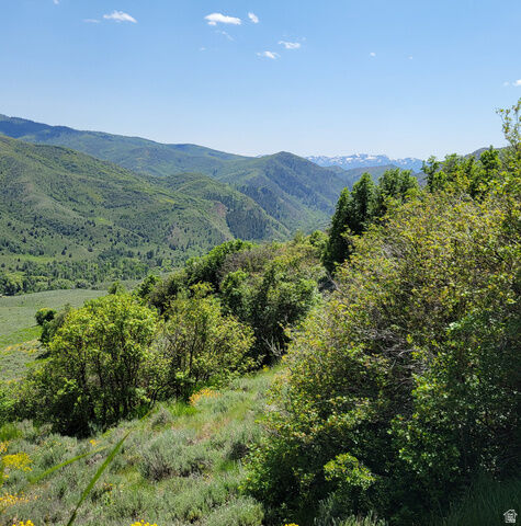 Property Photo:  12737 E High Pine Cir N 54  UT 84317 