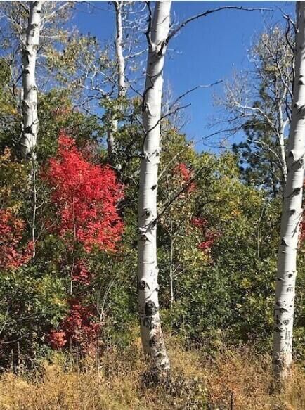 Property Photo:  18 Whispering Pines Road  UT 84767 