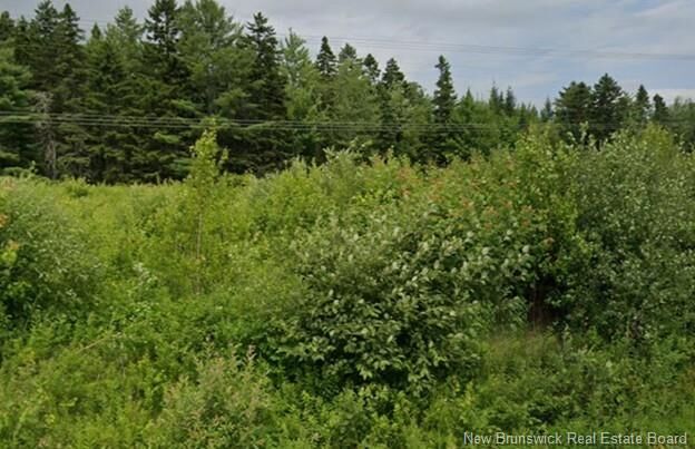 Property Photo:  Land Richibucto Rd &Amp Morgan Lake Road  NB E3A 7E5 
