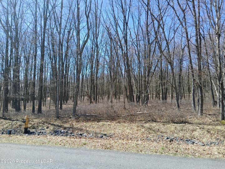 Property Photo: 108 Sweet Birch Drive PA 18202