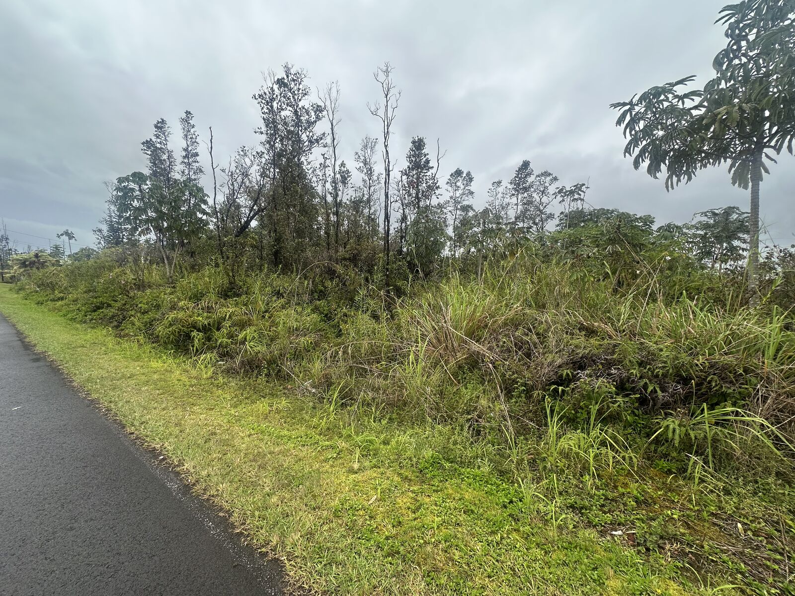 Property Photo:  Tree Fern Dr  HI 96778 