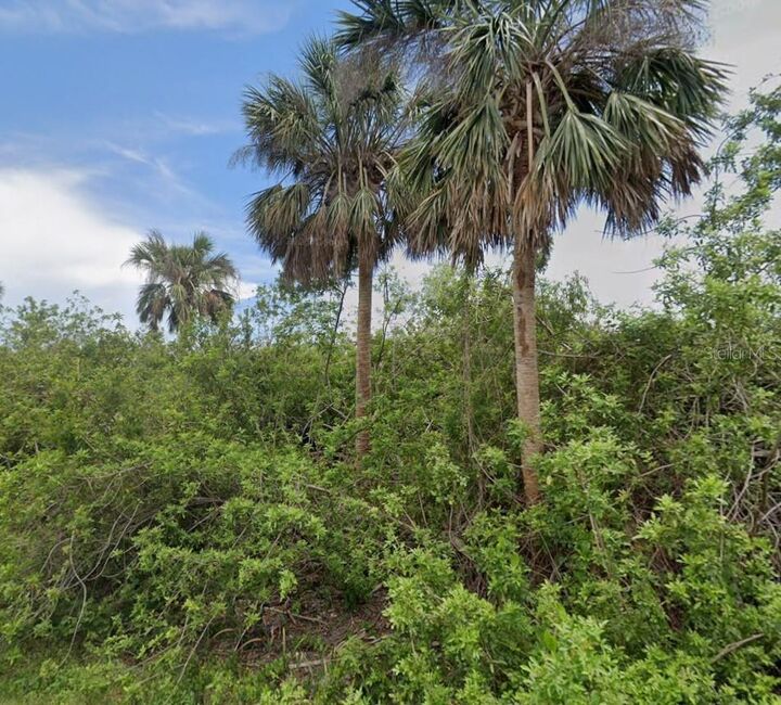 Property Photo:  14529 McMillin Avenue  FL 33953 