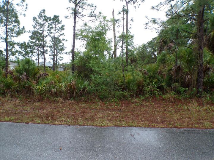 Property Photo:  14317 Harcourt Avenue  FL 33953 