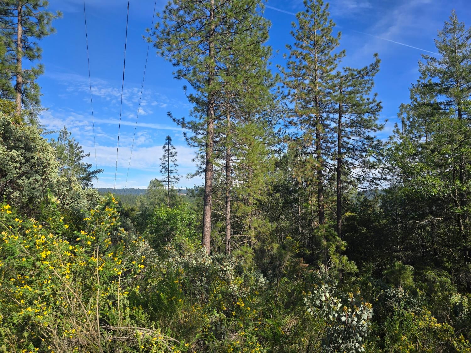 Property Photo:  0 P C Lane  CA 95713 