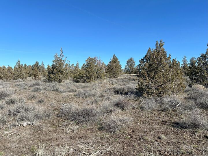 Property Photo:  SE Odessa Road Lot 132  OR 97754 