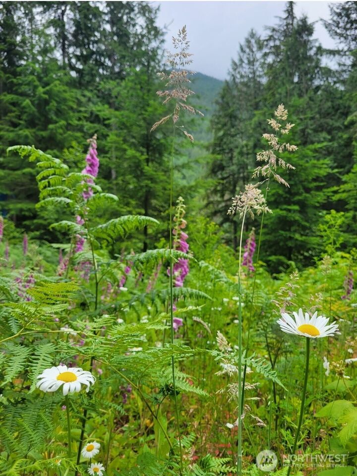 Property Photo:  0  Acorn Lane  WA 98267 