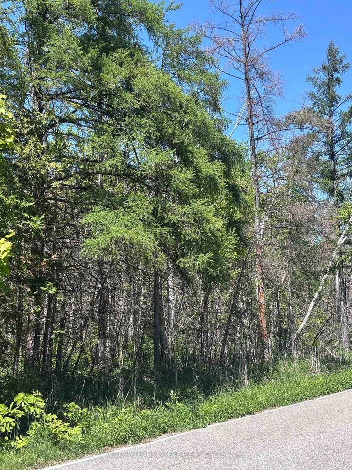 Property Photo:  1382 Wilson Point Road  ON L3V 0G7 