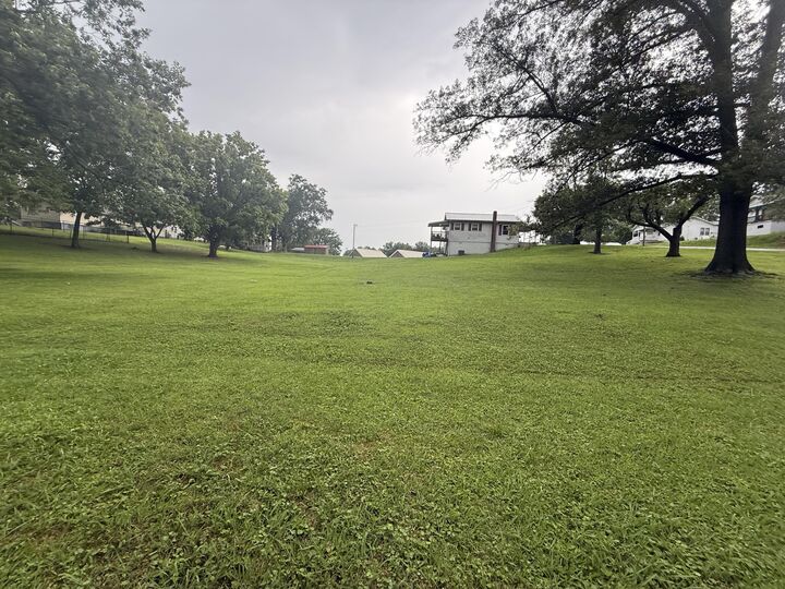 Property Photo:  0 Chisolm Avenue  AL 35740 