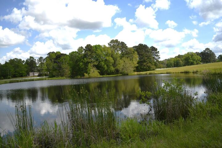 Property Photo:  Tbd Pumpkin Center Rd Corner Of Pumpkin Center And 1998  TX 75672 