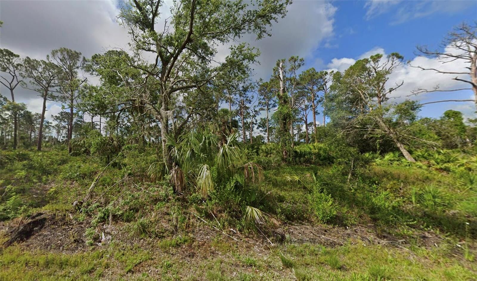 Property Photo:  15469 Oasis Avenue  FL 33953 