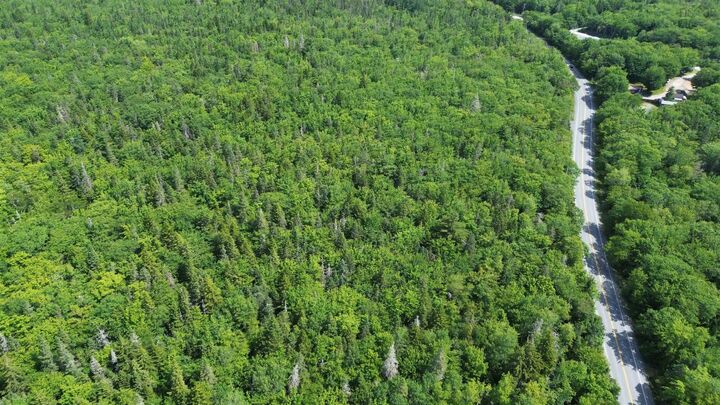 Property Photo:  Lot (Pid 70053491) Highway 3  NS B0T 1K0 