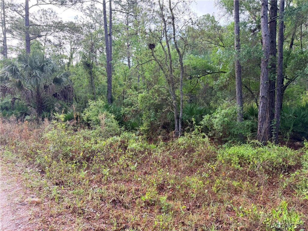 Property Photo:  7494 W Nadel Drive  FL 34428 