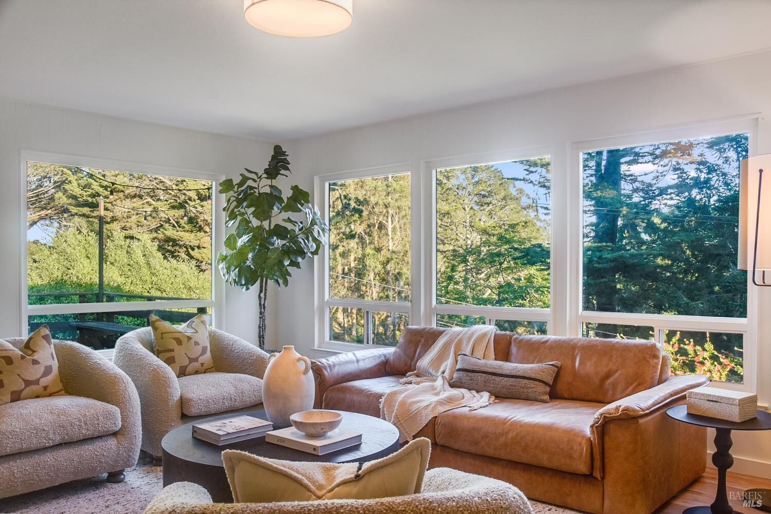 Property Photo:  195 Edgewood Avenue  CA 94941 