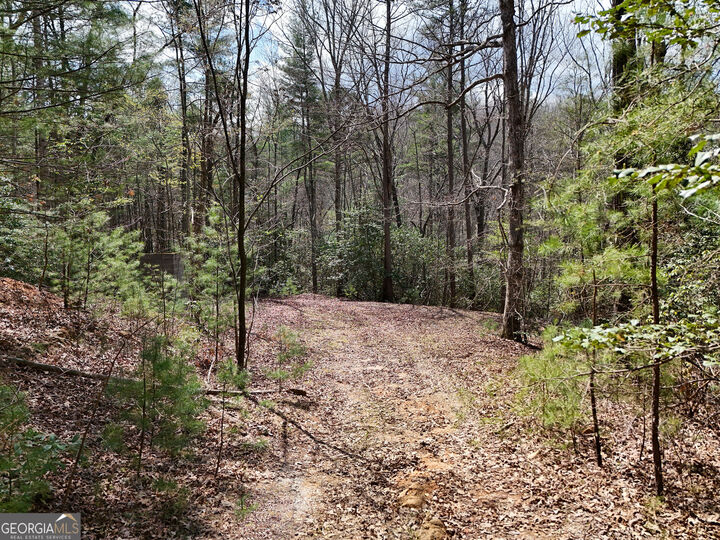 Property Photo:  Lt 117 Laurel Trace  GA 30513 