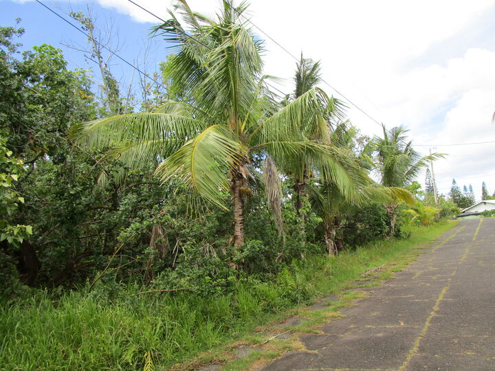 Property Photo:  Kekainehe St  HI 96778 