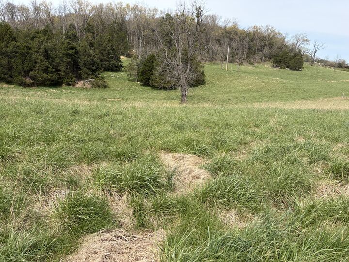 Property Photo:  701 McQueary Road  KY 42503 